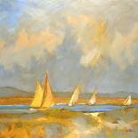 Whidbey Island Beach-Don Tiller-Giclee Print