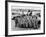 Donald Campbell and the Bluebird Team, Goodwood, 22nd July 1960-null-Framed Photographic Print