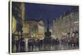 Stretched Canvas Print