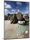 Photographic Print