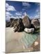 Photographic Print