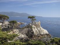 Lonely Pine on 17 Mile Drive Near Monterey, California, United States of America, North America-Donald Nausbaum-Photographic Print