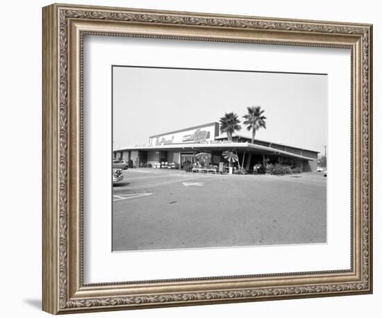 Donald Nixon Properties-Grey Villet-Framed Photographic Print