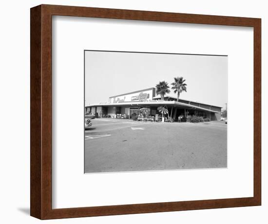 Donald Nixon Properties-Grey Villet-Framed Photographic Print