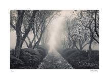 Spring Valley Mist-Donald Satterlee-Giclee Print