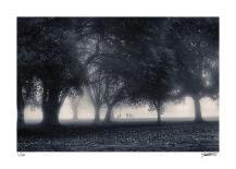 Misty Solitude-Donald Satterlee-Giclee Print