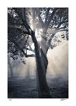 Foggy Fairway-Donald Satterlee-Giclee Print