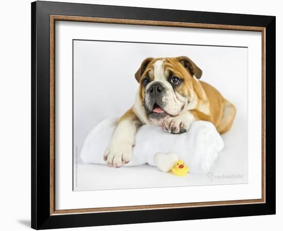 Donald-Rachael Hale-Framed Art Print