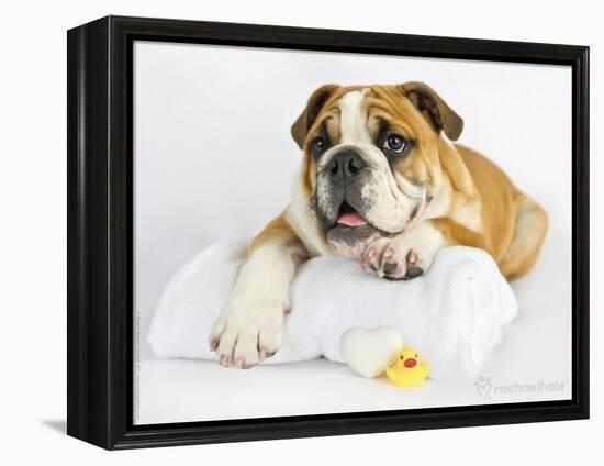 Donald-Rachael Hale-Framed Premier Image Canvas