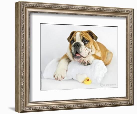 Donald-Rachael Hale-Framed Photographic Print