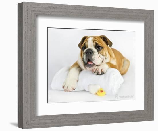 Donald-Rachael Hale-Framed Photographic Print