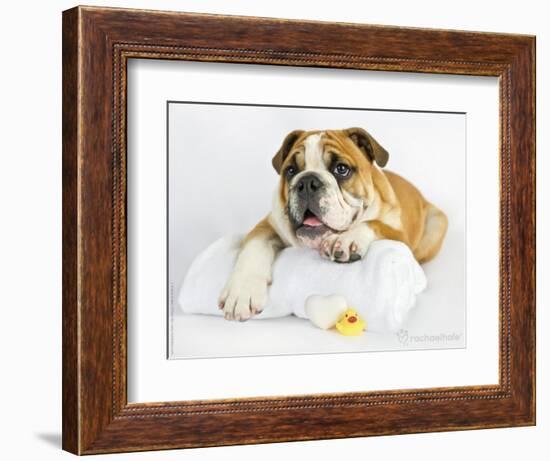 Donald-Rachael Hale-Framed Photographic Print