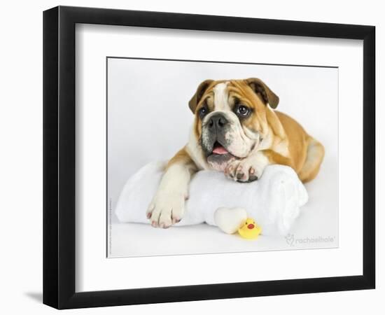 Donald-Rachael Hale-Framed Photographic Print