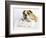 Donald-Rachael Hale-Framed Photographic Print