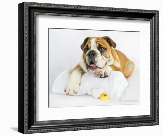 Donald-Rachael Hale-Framed Photographic Print