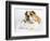 Donald-Rachael Hale-Framed Photographic Print