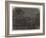 Donati's Comet, as Seen from Greenwich Park, 17 September, 7 PM-null-Framed Giclee Print