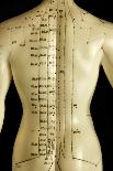 Chinese Acupuncture Model-Doncaster and Bassetlaw-Framed Photographic Print