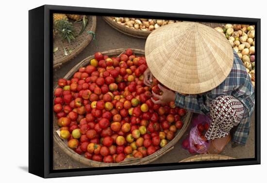Dong Ba Market, Hue, Vietnam, Indochina, Southeast Asia, Asia-Bruno Morandi-Framed Premier Image Canvas