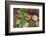 Dong Ba Market, Hue, Vietnam, Indochina, Southeast Asia, Asia-Bruno Morandi-Framed Photographic Print