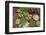 Dong Ba Market, Hue, Vietnam, Indochina, Southeast Asia, Asia-Bruno Morandi-Framed Photographic Print