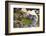 Dong Ba Market, Hue, Vietnam, Indochina, Southeast Asia, Asia-Bruno Morandi-Framed Premium Photographic Print