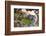 Dong Ba Market, Hue, Vietnam, Indochina, Southeast Asia, Asia-Bruno Morandi-Framed Photographic Print