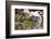 Dong Ba Market, Hue, Vietnam, Indochina, Southeast Asia, Asia-Bruno Morandi-Framed Photographic Print