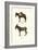 Donkey, 1824-Karl Joseph Brodtmann-Framed Giclee Print