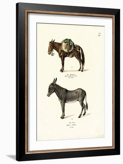 Donkey, 1824-Karl Joseph Brodtmann-Framed Giclee Print