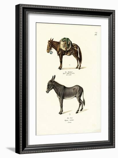 Donkey, 1824-Karl Joseph Brodtmann-Framed Giclee Print