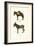 Donkey, 1824-Karl Joseph Brodtmann-Framed Giclee Print