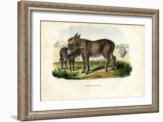 Donkey, 1863-79-Raimundo Petraroja-Framed Giclee Print