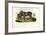 Donkey, 1863-79-Raimundo Petraroja-Framed Giclee Print