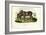 Donkey, 1863-79-Raimundo Petraroja-Framed Giclee Print