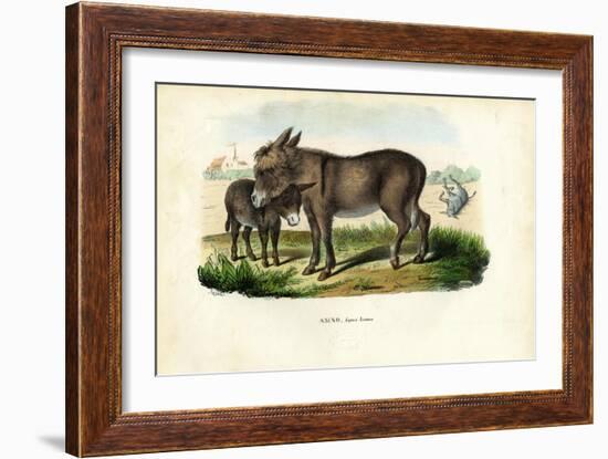 Donkey, 1863-79-Raimundo Petraroja-Framed Giclee Print