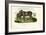 Donkey, 1863-79-Raimundo Petraroja-Framed Giclee Print