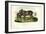 Donkey, 1863-79-Raimundo Petraroja-Framed Giclee Print