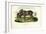 Donkey, 1863-79-Raimundo Petraroja-Framed Giclee Print
