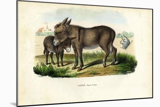 Donkey, 1863-79-Raimundo Petraroja-Mounted Giclee Print