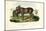 Donkey, 1863-79-Raimundo Petraroja-Mounted Giclee Print