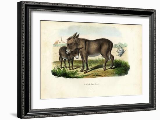 Donkey, 1863-79-Raimundo Petraroja-Framed Giclee Print