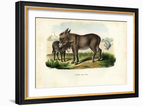 Donkey, 1863-79-Raimundo Petraroja-Framed Giclee Print