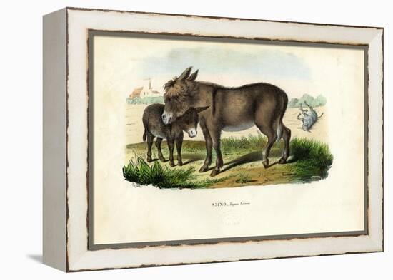 Donkey, 1863-79-Raimundo Petraroja-Framed Premier Image Canvas