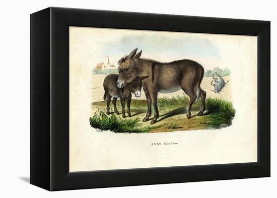 Donkey, 1863-79-Raimundo Petraroja-Framed Premier Image Canvas