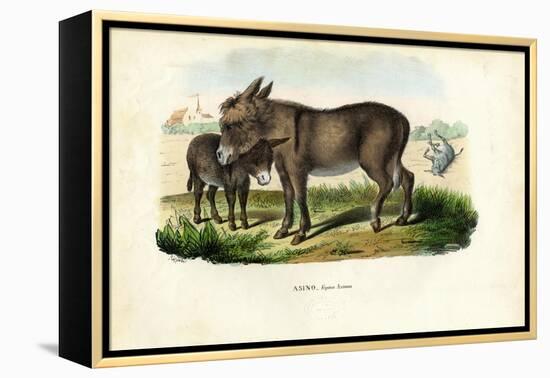 Donkey, 1863-79-Raimundo Petraroja-Framed Premier Image Canvas