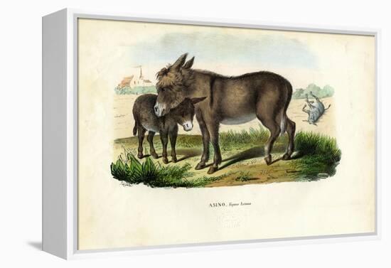 Donkey, 1863-79-Raimundo Petraroja-Framed Premier Image Canvas