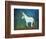 Donkey, 2011-Roya Salari-Framed Giclee Print