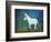 Donkey, 2011-Roya Salari-Framed Giclee Print