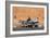 Donkey And Cart Transportation-Johnny Greig-Framed Photographic Print